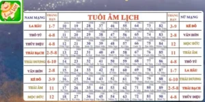 Tổng quan can mệnh theo lịch âm và dương năm 2025