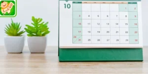 Các ngày nghỉ, ngày lễ quan trọng lịch dương tháng 10