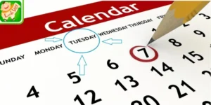 Chọn ngày hoàng đạo đảm bảo khởi đầu suôn sẻ may mắn