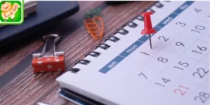 Tra lịch âm dương hỗ trợ khai trương thu hút tài lộc