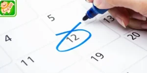 Xem ngày tốt xấu trong tháng theo tuổi để khởi sự thành công